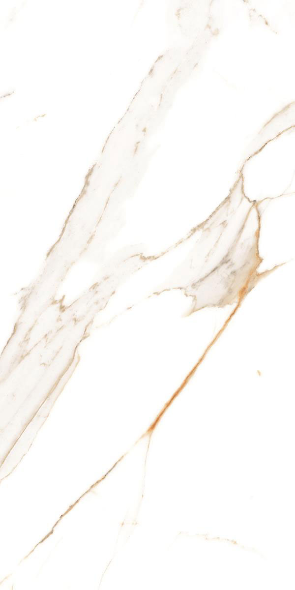 REGAL WHITE F1